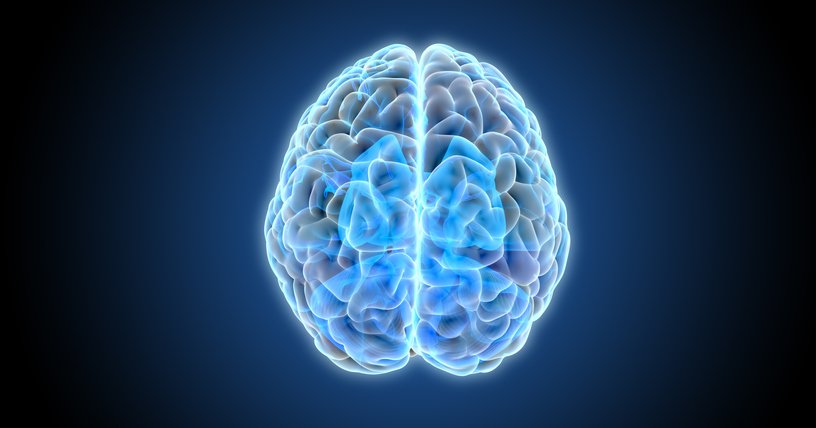 FDA Approval for Denali Therapeutics Blazes a New Trail for Brain-Penetrating Drugs FDA Approval for Denali Therapeutics Blazes a New Trail for Brain-Penetrating Drugs