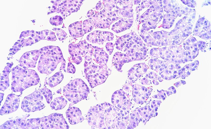 Oricell Lands 0M to Take Cell Therapy to New Territory in Cancer