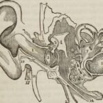 Regeneron Gets Landmark FDA Approval for First Gene Therapy for Hearing Loss