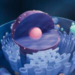 Startup Nula Emerges to Advance a New Class of Medicines for Metabolic Disease