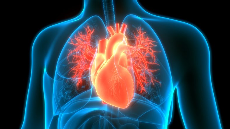 Four Reasons ECMO Programs Stall