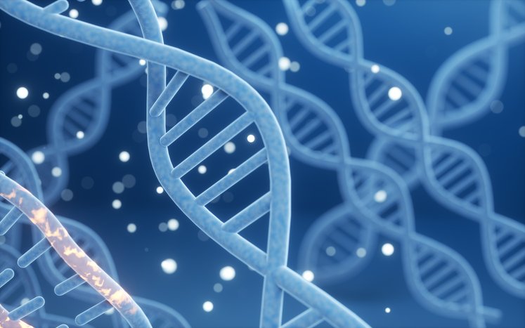Precision Medicine’s Next Hurdle Isn’t Science — It’s Execution