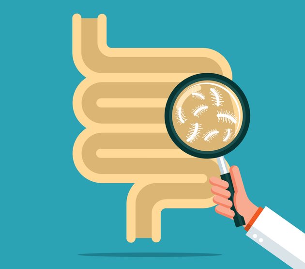 Combined GI Procedures Are Becoming Routine – AI Can Help Address the Gap in Upper GI Quality Standards