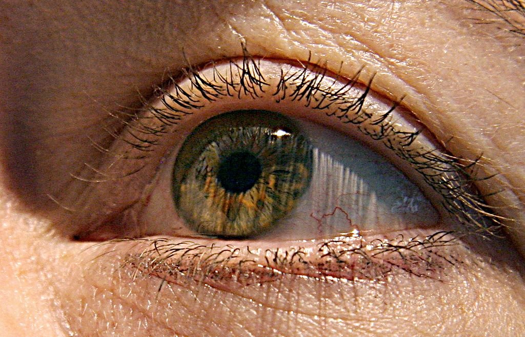 FDA Approves Viridian’s Thyroid Eye Disease Drug, Competitor to a Blockbuster Amgen Med