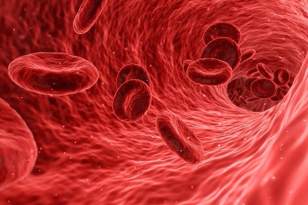 Incyte’s .25B Buyout Brings What Could Become the Next Big Bleeding Disorder Drug